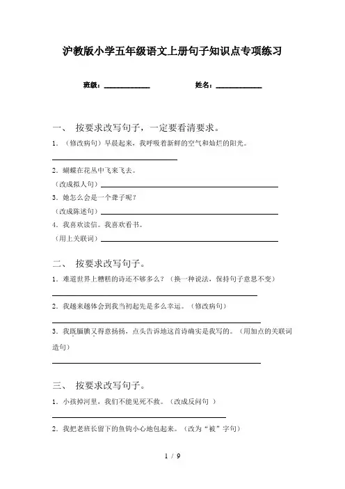 沪教版小学五年级语文上册句子知识点专项练习