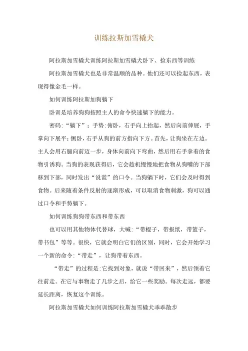 训练拉斯加雪橇犬