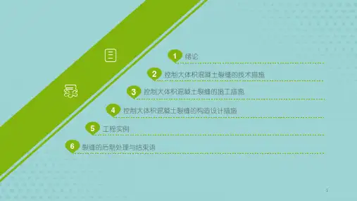 大体积混凝土裂缝【共63张PPT】全文