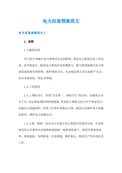 电力应急预案范文