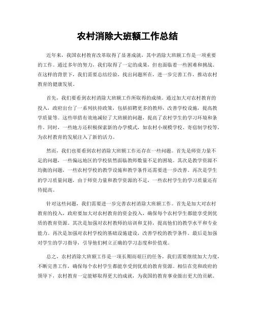 农村消除大班额工作总结