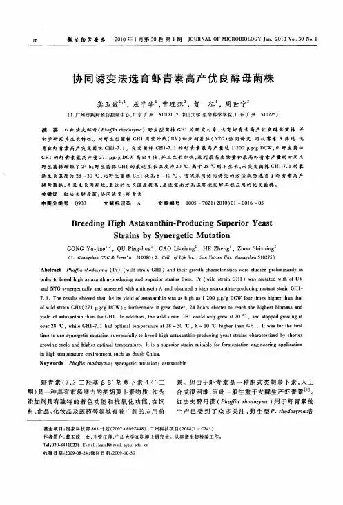 协同诱变法选育虾青素高产优良酵母菌株