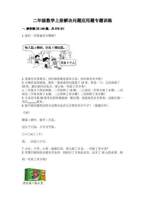 二年级数学上册解决问题应用题专题训练-标准卷