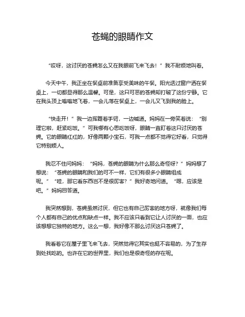 苍蝇的眼睛作文