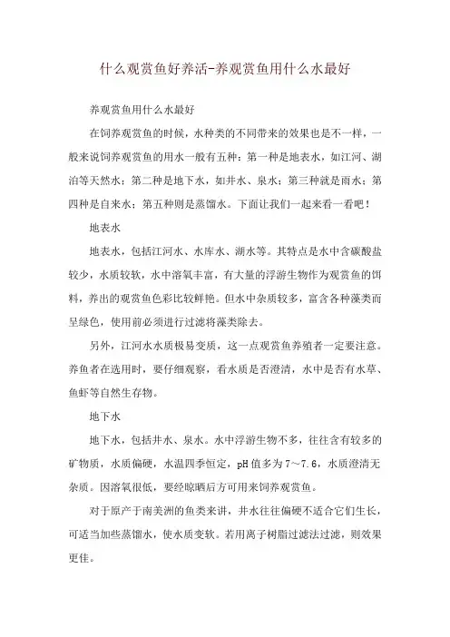什么观赏鱼好养活-养观赏鱼用什么水最好