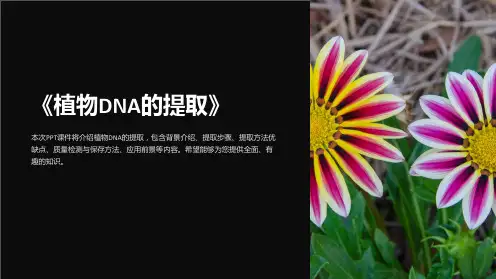 《植物DNA的提取》课件