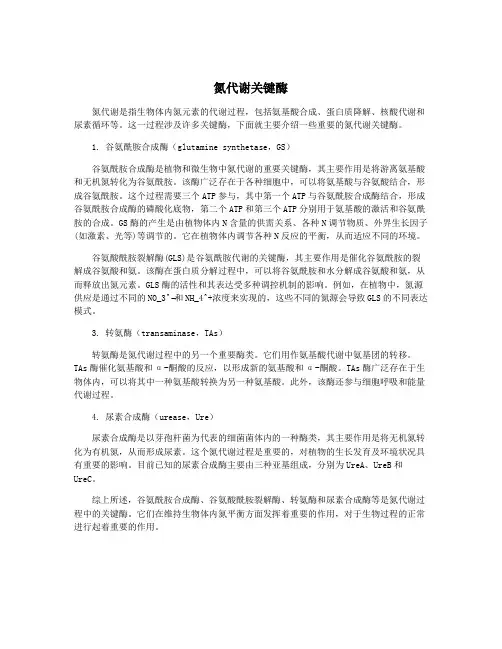 氮代谢关键酶