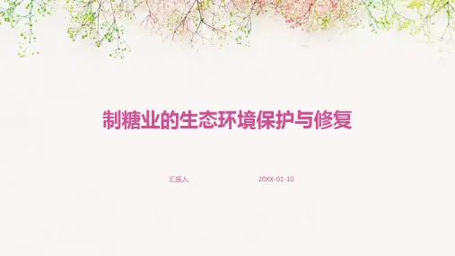 制糖业的生态环境保护与修复