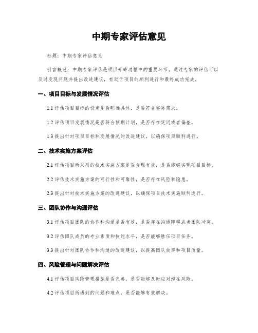 中期专家评估意见