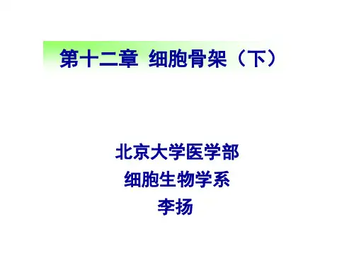 6_第十二章 细胞骨架(下)