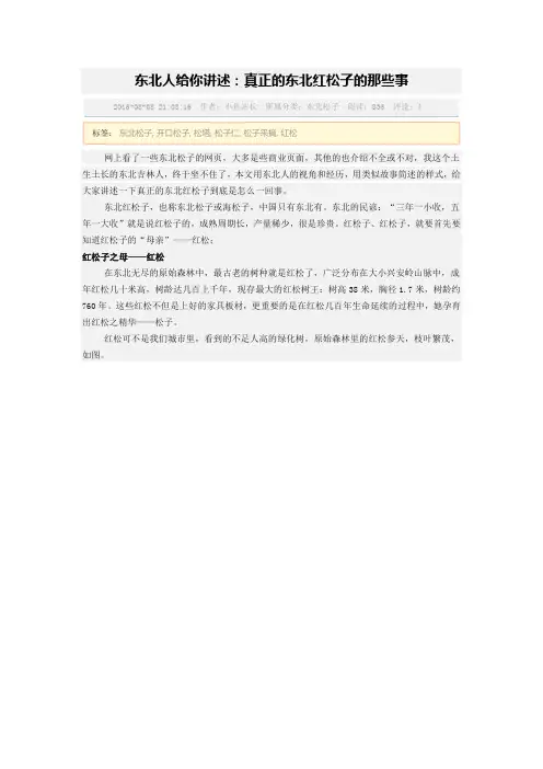 红松子采集