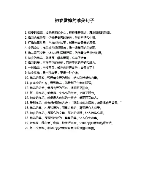 初春赏梅的唯美句子