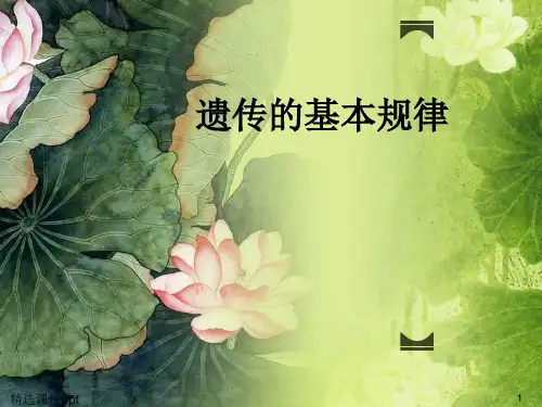 人教版高中生物精品课件《遗传的基本规律》