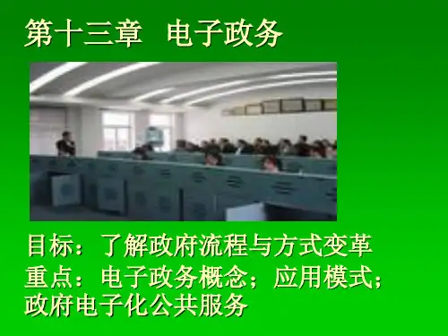 电子政务公共管理学讲义分析