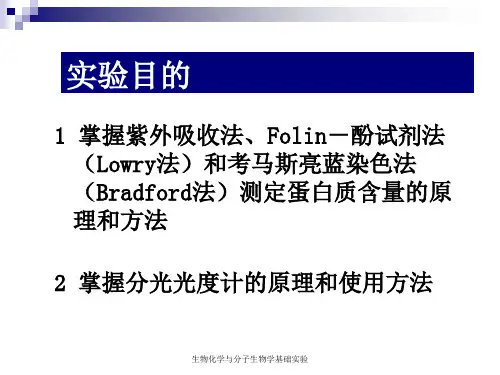 最新实验一蛋白质含量测定ppt课件
