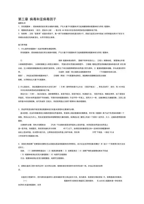 微生物(修改)