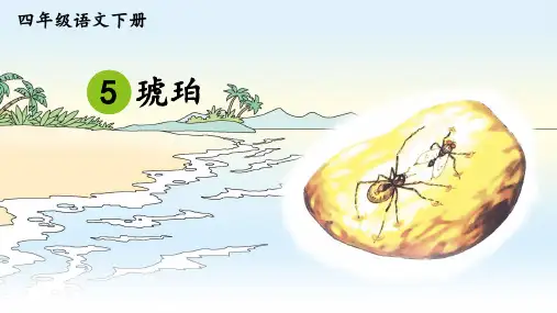 部编版语文四年级下册5《琥珀》课件(共22张PPT)