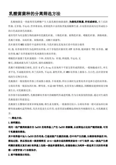 乳酸菌菌种的分离筛选办法