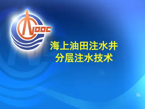 海上油田分层注水技术