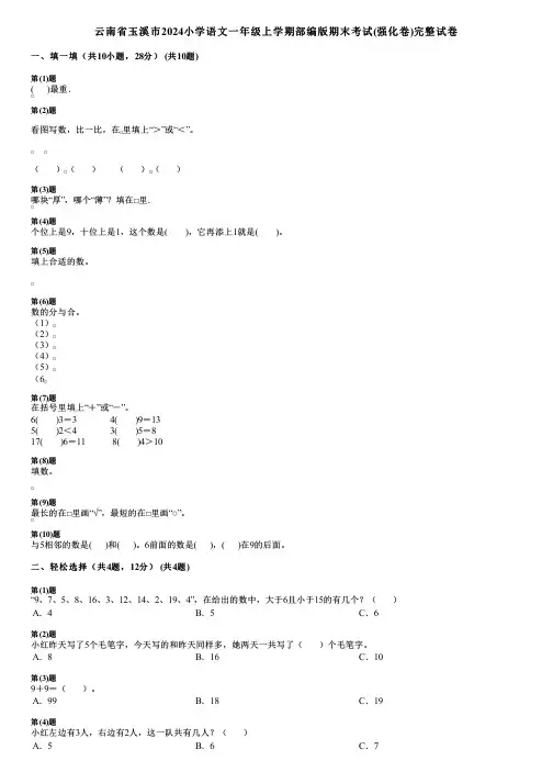 云南省玉溪市2024小学数学一年级上学期部编版期末考试(强化卷)完整试卷