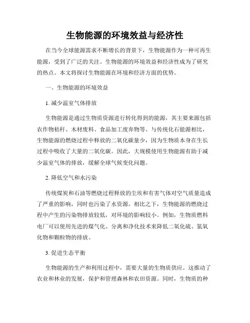 生物能源的环境效益与经济性