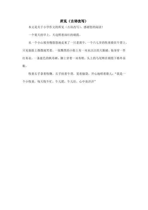 所见(古诗改写)_小学作文