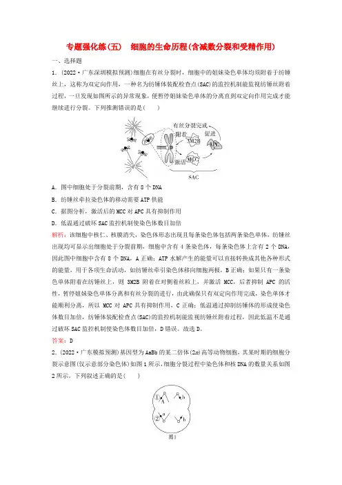 2023高考生物二轮专题复习与测试专题强化练五细胞的生命历程(含减数分裂和受精作用)