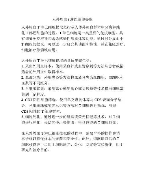 人外周血t淋巴细胞提取