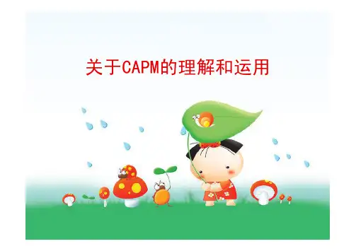 CAPM定理