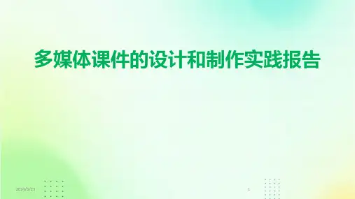 2024年度多媒体课件的设计和制作实践报告