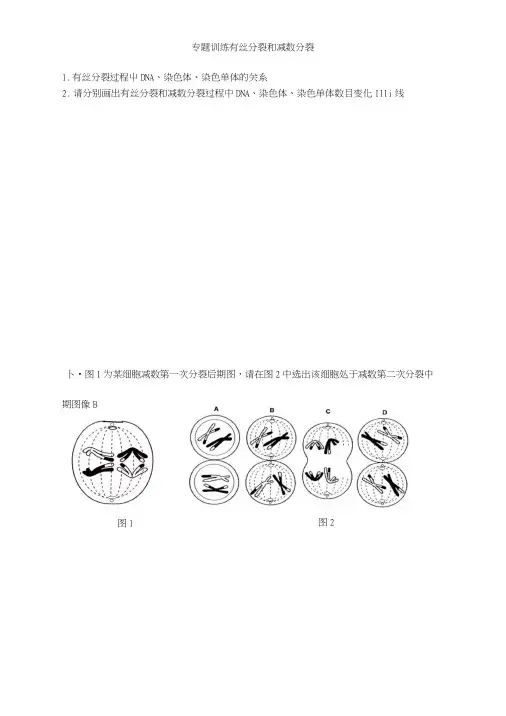 高三生物细胞分裂专题.docx
