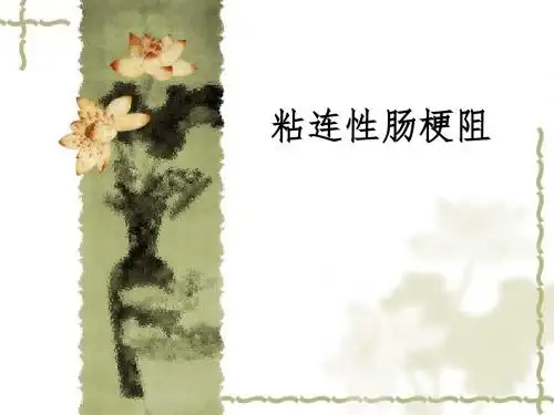 粘连性肠梗阻PPT医学课件