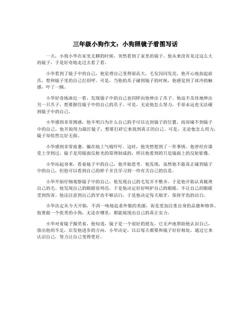 三年级小狗作文：小狗照镜子看图写话