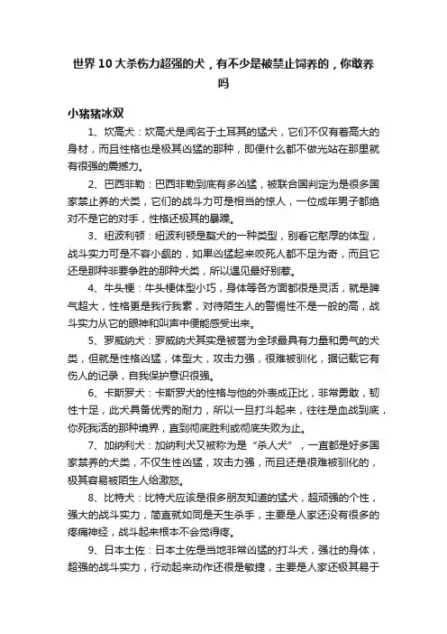 世界10大杀伤力超强的犬，有不少是被禁止饲养的，你敢养吗