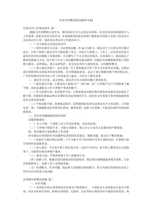 自查自纠整改报告(精彩4篇)