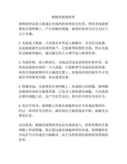 眼睛的视物原理