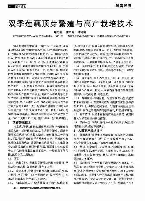 双季莲藕顶芽繁殖与高产栽培技术
