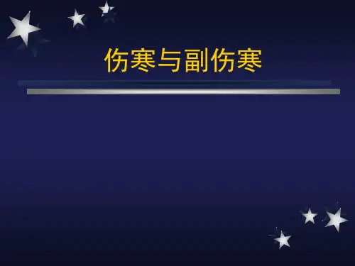 伤寒与副伤寒  PPT课件
