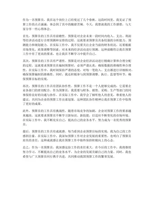 预算员今后工作的感想