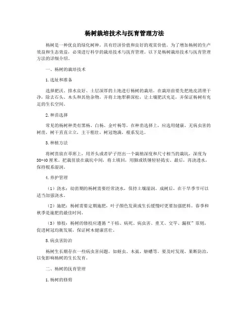 杨树栽培技术与抚育管理方法