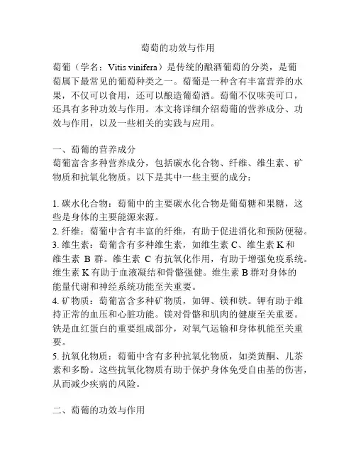 萄萄的功效与作用