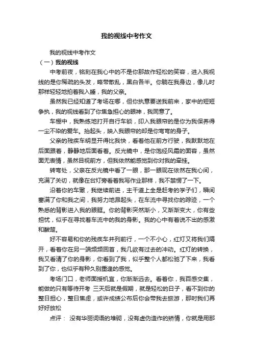 我的视线中考作文