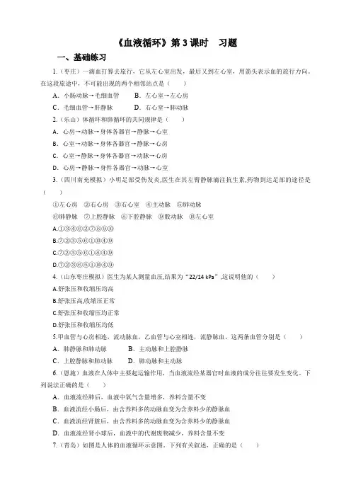 9.2血液循环 第3课时（习题）