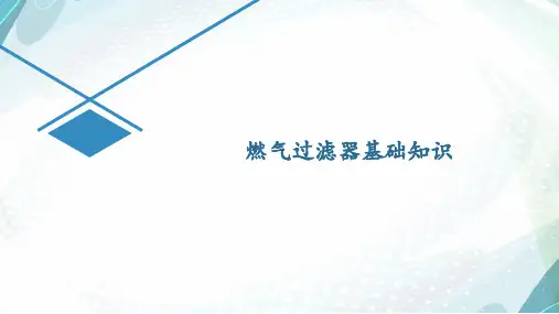 燃气过滤器及基础知识