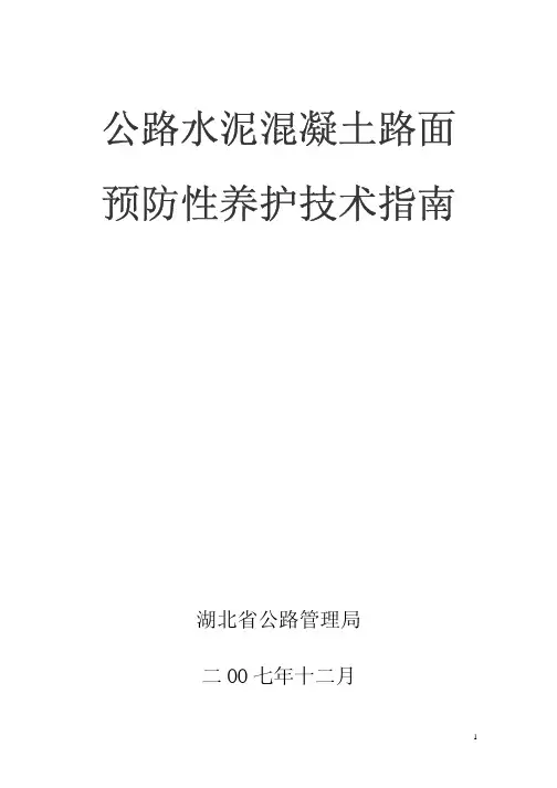 公路水泥路面预防性养护技术指南(湖北省公路局2007)