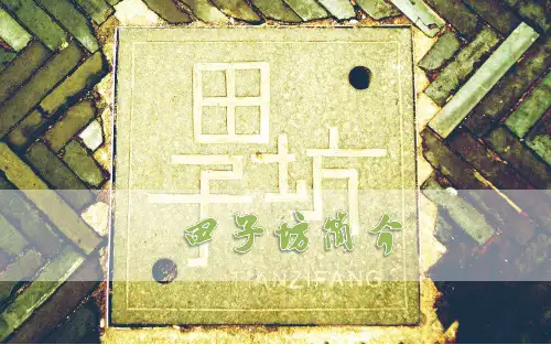案例分析上海田子坊详细