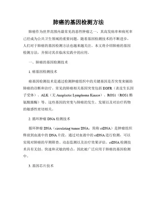 肺癌的基因检测方法