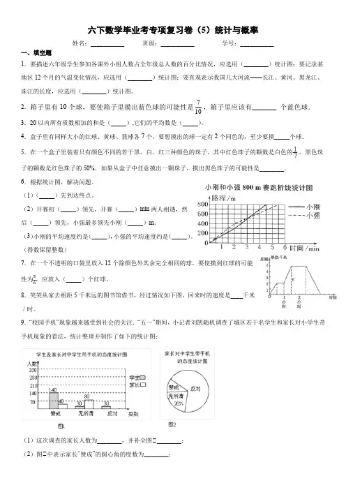 【小升初专项复习】小学数学毕业考专项复习卷(5)统计与概率 全国通用(含答案、详解)