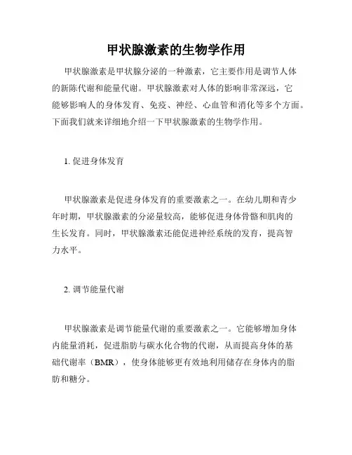 甲状腺激素的生物学作用