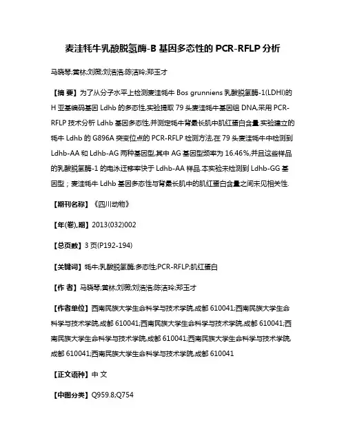 麦洼牦牛乳酸脱氢酶-B基因多态性的PCR-RFLP分析